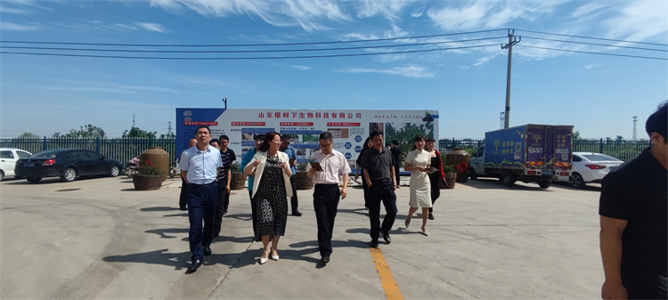 桑葚酒可以放多久？