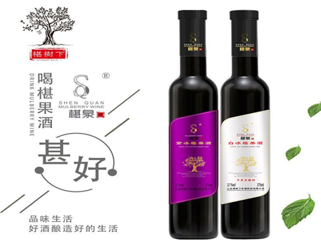 泡果酒用什么水果好？